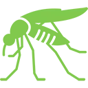 Mosquito Nets